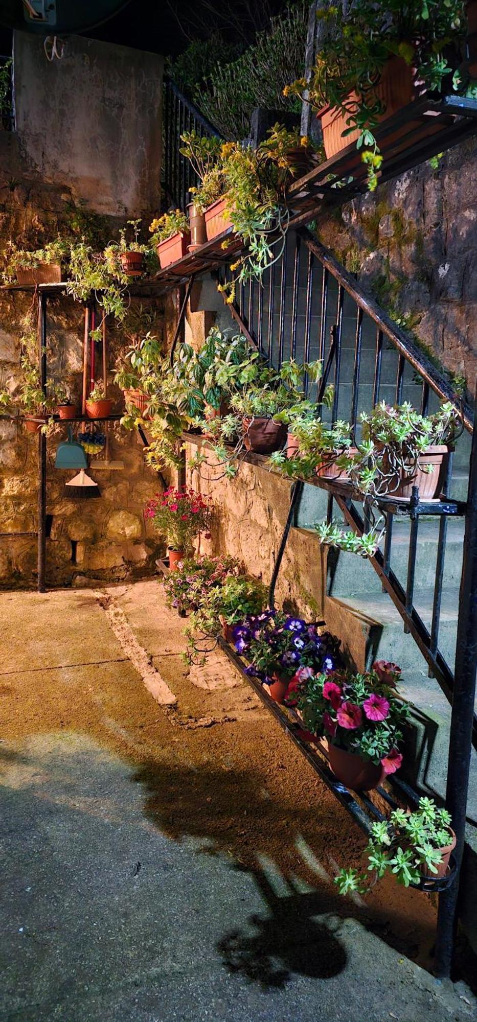 Apartman Pontica Cattaro Esterno foto